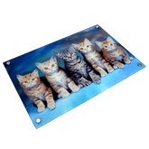 Sublimation blank 16" x 10" Toughened Glass Wall Panel